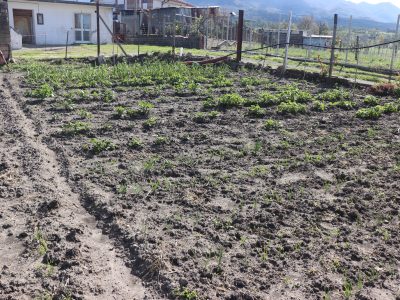 DUGENTA (BN) - 756 PORZIONE DI CASALE IN UN BORGO