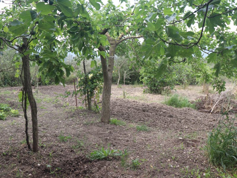 DUGENTA (BN) - 749 PORZIONE DI CASA INDIPENDENTE