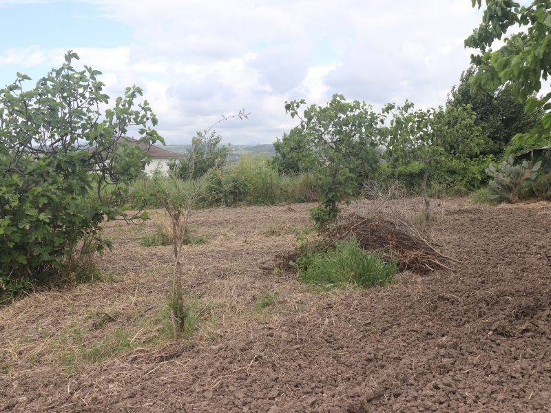 DUGENTA (BN) - 749 PORZIONE DI CASA INDIPENDENTE