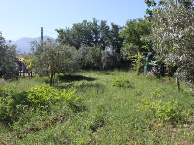 AMOROSI (808) - VILLA INDIPENDENTE CON TERRENO