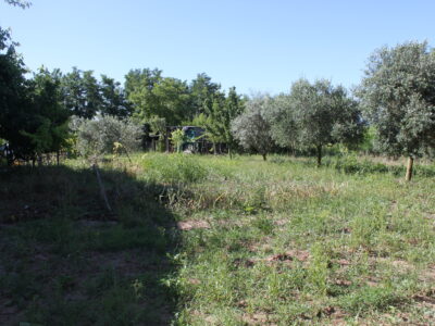 AMOROSI (808) - VILLA INDIPENDENTE CON TERRENO