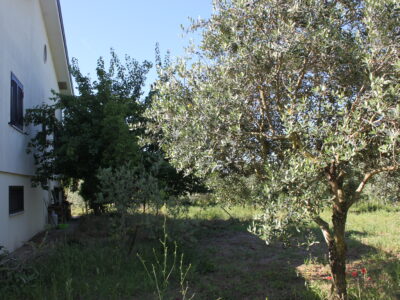 AMOROSI (808) - VILLA INDIPENDENTE CON TERRENO