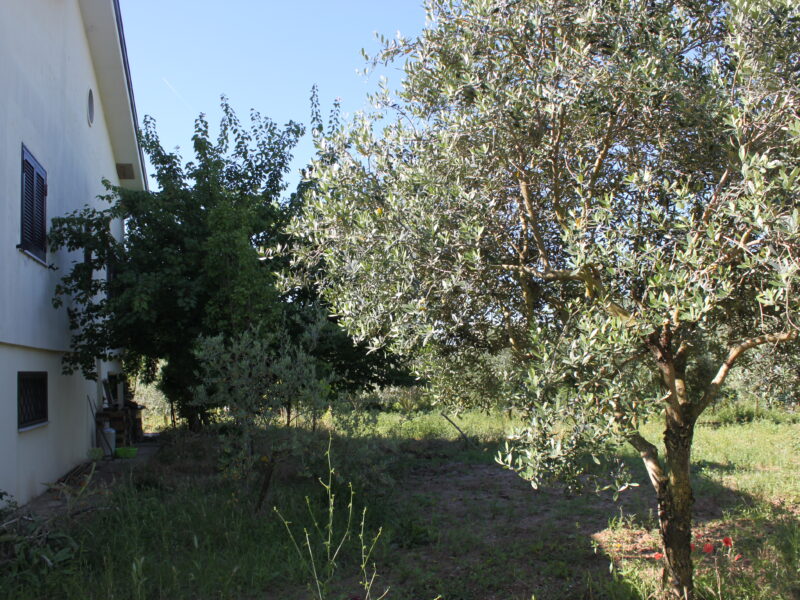 AMOROSI (808) - VILLA INDIPENDENTE CON TERRENO