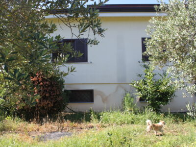 AMOROSI (808) - VILLA INDIPENDENTE CON TERRENO