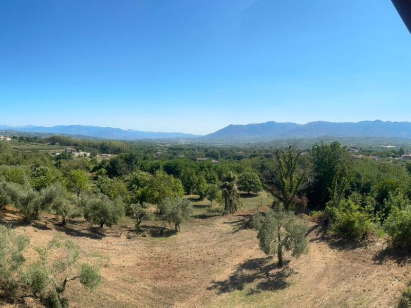 CASERTA - 998 PALAZZO SU TRE LIVELLI CON TERRENO