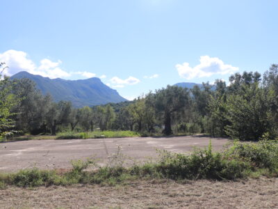 MELIZZANO (BN) - 999 APPEZZAMENTO DI TERRENO