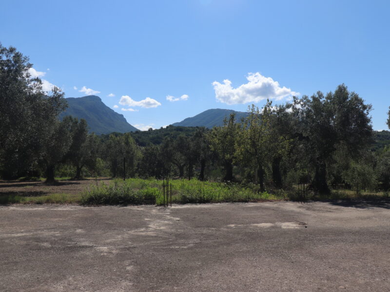 MELIZZANO (BN) - 999 APPEZZAMENTO DI TERRENO