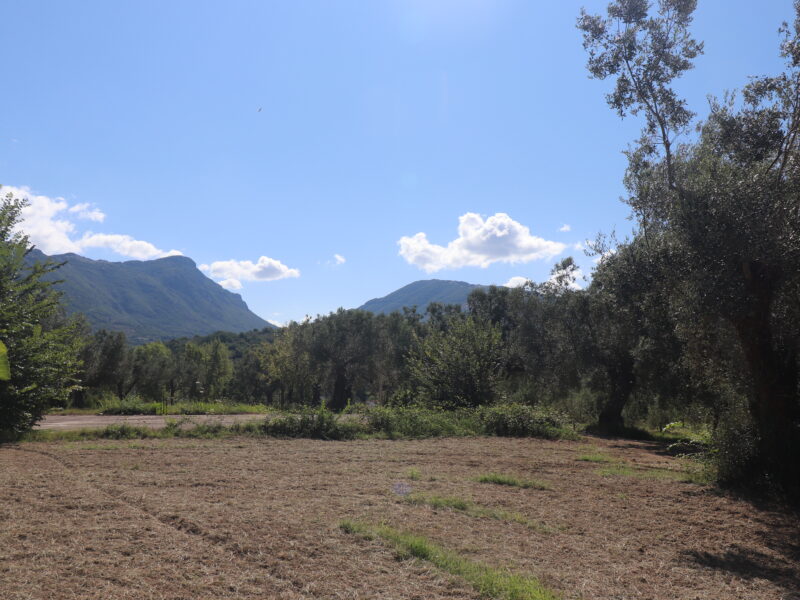 MELIZZANO (BN) - 999 APPEZZAMENTO DI TERRENO