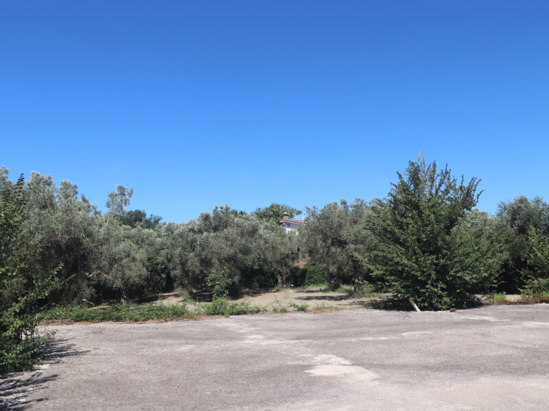 MELIZZANO (BN) - 999 APPEZZAMENTO DI TERRENO