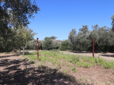 MELIZZANO (BN) - 999 APPEZZAMENTO DI TERRENO