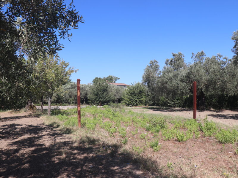 MELIZZANO (BN) - 999 APPEZZAMENTO DI TERRENO