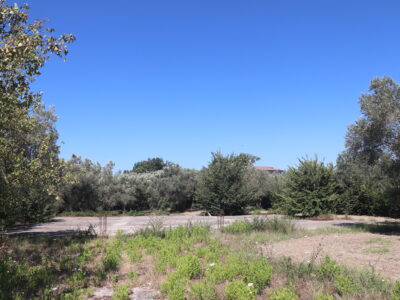 MELIZZANO (BN) - 999 APPEZZAMENTO DI TERRENO