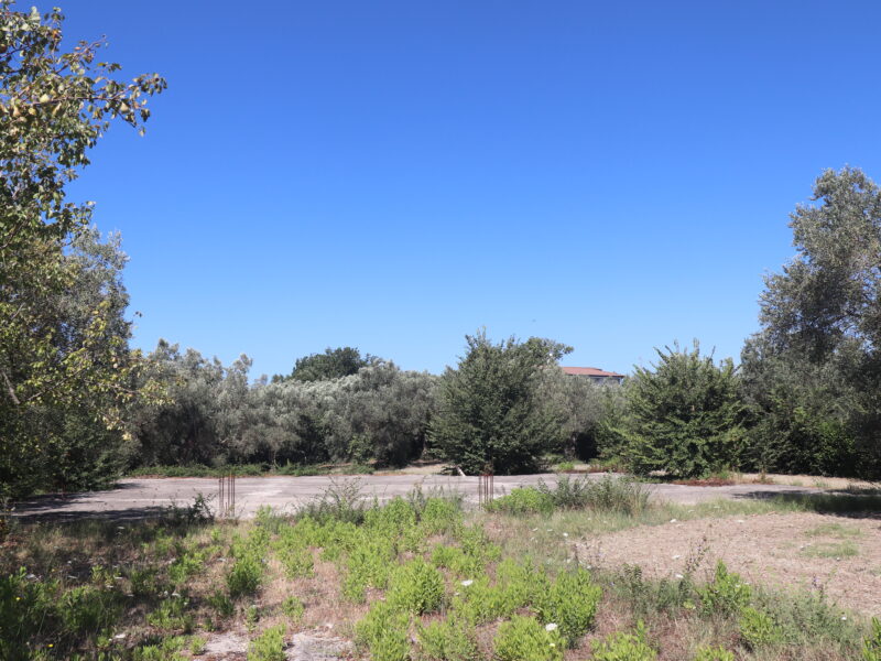 MELIZZANO (BN) - 999 APPEZZAMENTO DI TERRENO