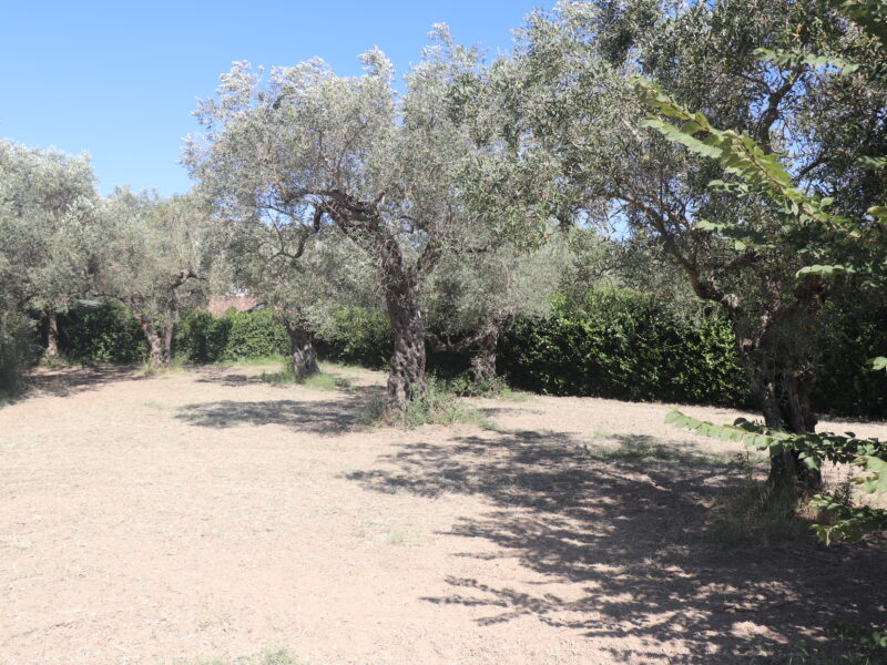 MELIZZANO (BN) - 999 APPEZZAMENTO DI TERRENO