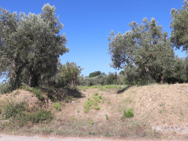 MELIZZANO (BN) - 999 APPEZZAMENTO DI TERRENO