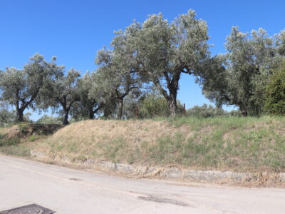 MELIZZANO (BN) - 999 APPEZZAMENTO DI TERRENO