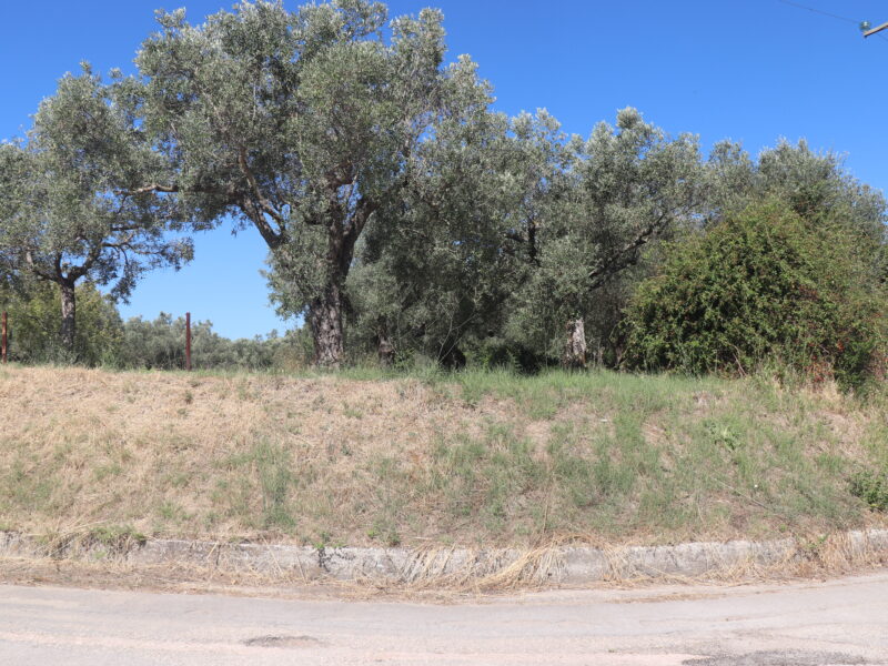 MELIZZANO (BN) - 999 APPEZZAMENTO DI TERRENO