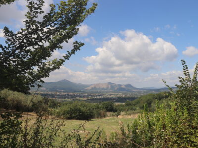 FRASSO TELESINO (BN) - 820 GREZZO DA RIFINIRE CON TERRENO