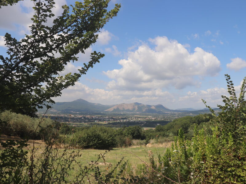 FRASSO TELESINO (BN) - 820 GREZZO DA RIFINIRE CON TERRENO