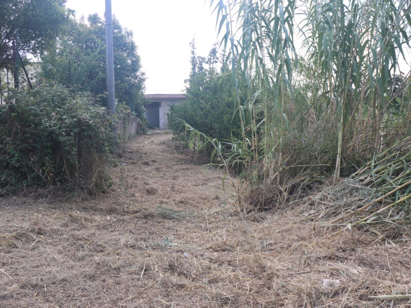 FRASSO TELESINO (BN) - 820 GREZZO DA RIFINIRE CON TERRENO