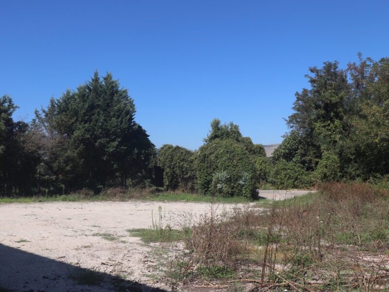 SANT'AGATA DE' GOTI (BN) - 994 LOCALE COMMERCIALE E CAPANNONE