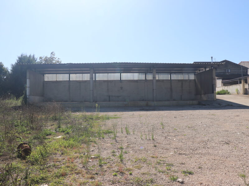 SANT'AGATA DE' GOTI (BN) - 994 LOCALE COMMERCIALE E CAPANNONE