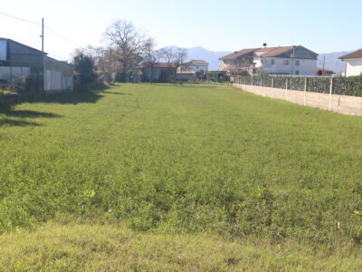 DUGENTA (BN) - 451 LOTTO DI TERRENO EDIFICABILE