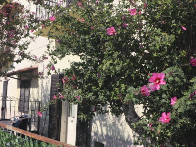 SANT'AGATA DE' GOTI (BN) - 266 CASA INDIPENDENTE CON TERRENO