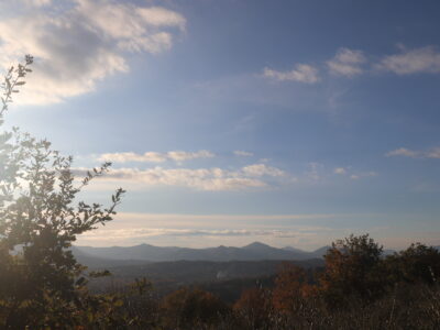 SANT'AGATA DE' GOTI (BN) - 613 TERRENO COLLINARE