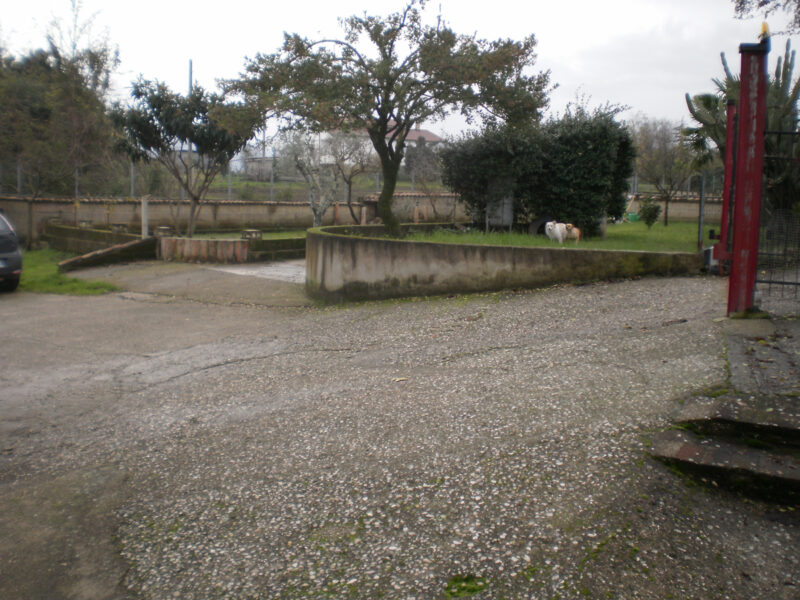 DUGENTA (BN) - 237 CASA COLONICA CON GIARDINO