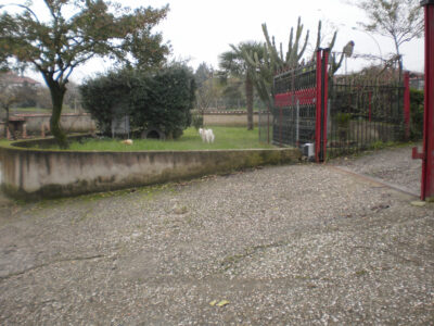 DUGENTA (BN) - 237 CASA COLONICA CON GIARDINO