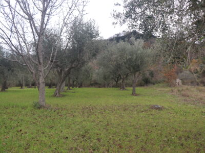 FRASSO TELESINO (BN) - 226 TERRENO CON DEPOSITO