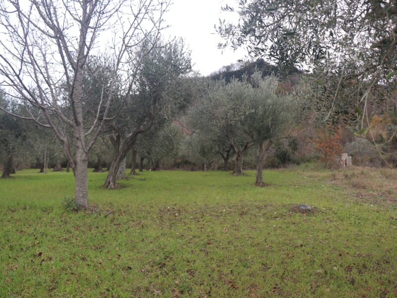 FRASSO TELESINO (BN) - 226 TERRENO CON DEPOSITO