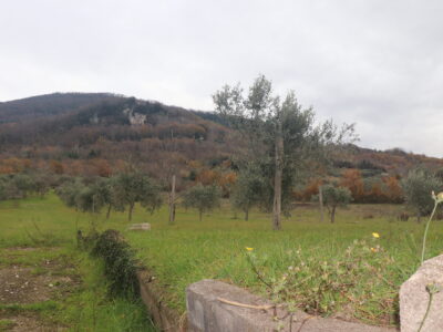 FRASSO TELESINO (BN) - 226 TERRENO CON DEPOSITO