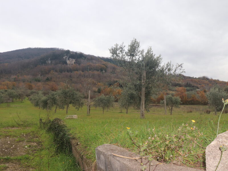 FRASSO TELESINO (BN) - 226 TERRENO CON DEPOSITO