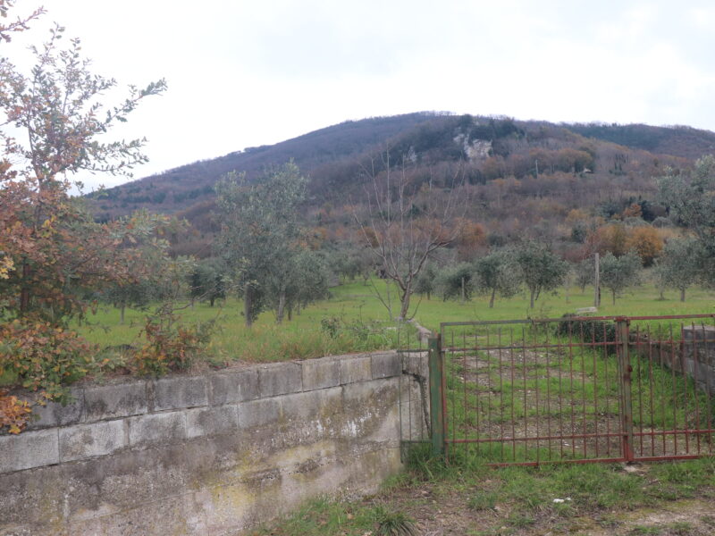 FRASSO TELESINO (BN) - 226 TERRENO CON DEPOSITO