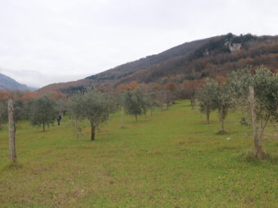 FRASSO TELESINO (BN) - 226 TERRENO CON DEPOSITO