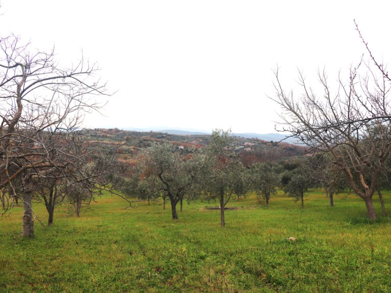 FRASSO TELESINO (BN) - 226 TERRENO CON DEPOSITO