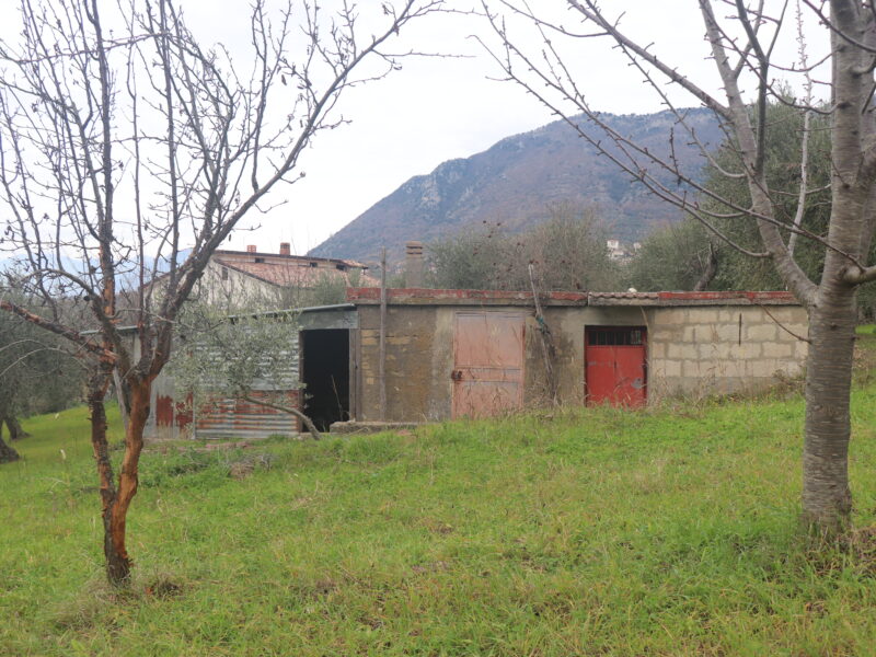 FRASSO TELESINO (BN) - 226 TERRENO CON DEPOSITO