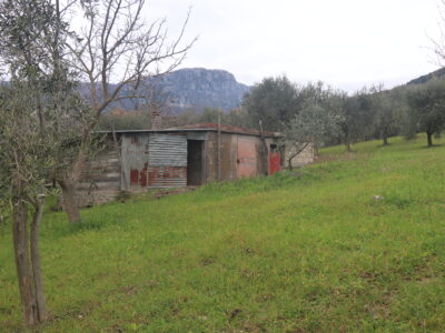 FRASSO TELESINO (BN) - 226 TERRENO CON DEPOSITO