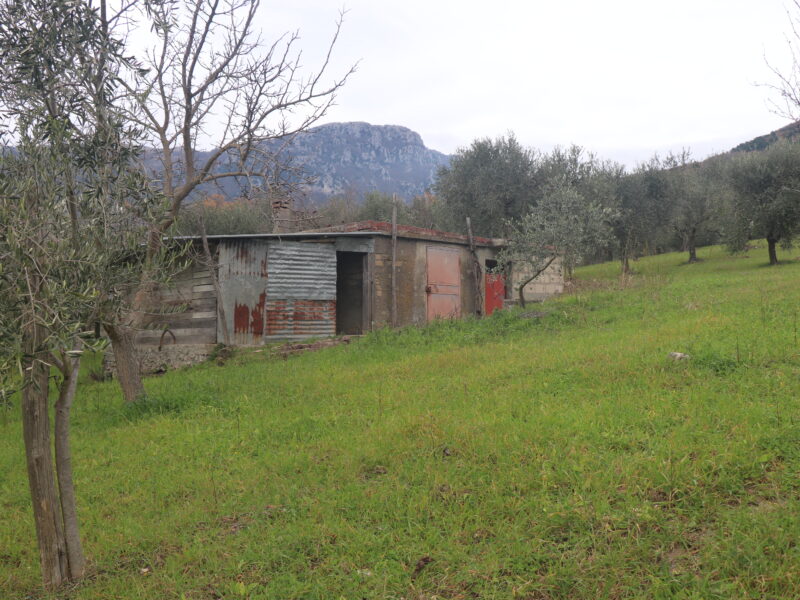 FRASSO TELESINO (BN) - 226 TERRENO CON DEPOSITO