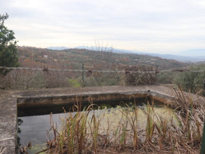 FRASSO TELESINO (BN) - 226 TERRENO CON DEPOSITO