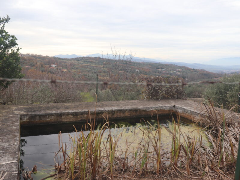 FRASSO TELESINO (BN) - 226 TERRENO CON DEPOSITO