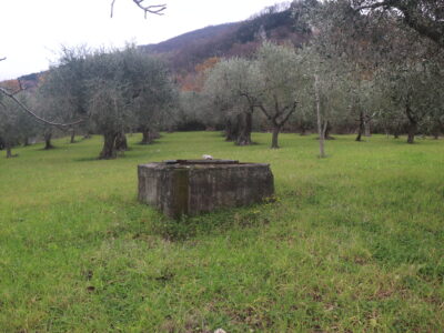 FRASSO TELESINO (BN) - 226 TERRENO CON DEPOSITO