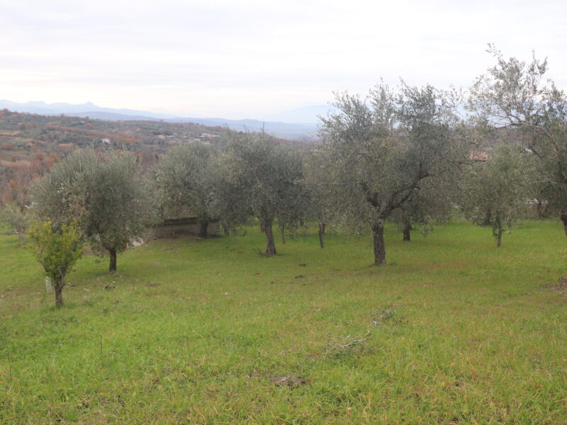 FRASSO TELESINO (BN) - 226 TERRENO CON DEPOSITO