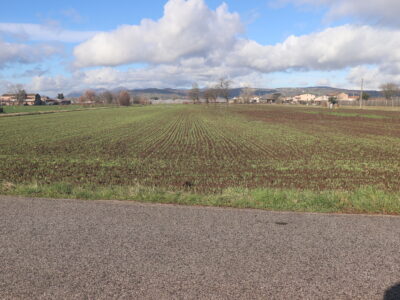 DUGENTA (BN) - 83 TERRENO PIANEGGIANTE