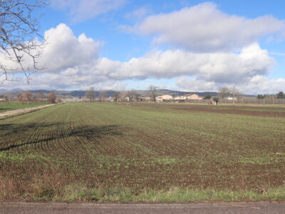 DUGENTA (BN) - 83 TERRENO PIANEGGIANTE