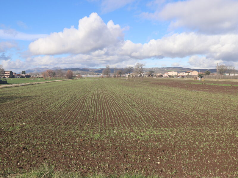 DUGENTA (BN) - 83 TERRENO PIANEGGIANTE