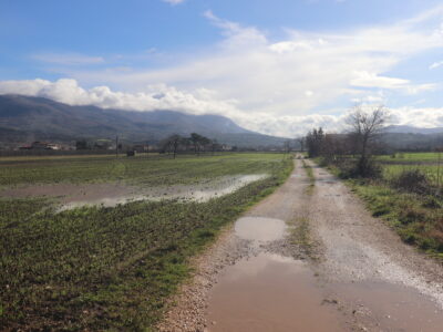 DUGENTA (BN) - 83 TERRENO PIANEGGIANTE