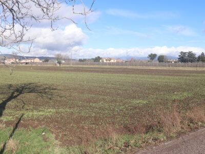 DUGENTA (BN) - 83 TERRENO PIANEGGIANTE